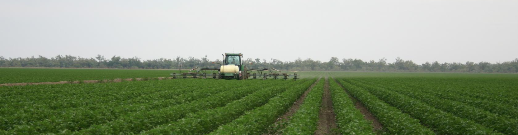 Weed management
