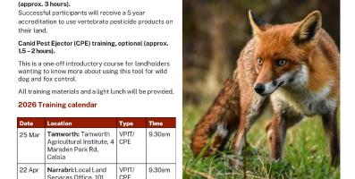 training flyer